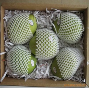 pe mesh foam
