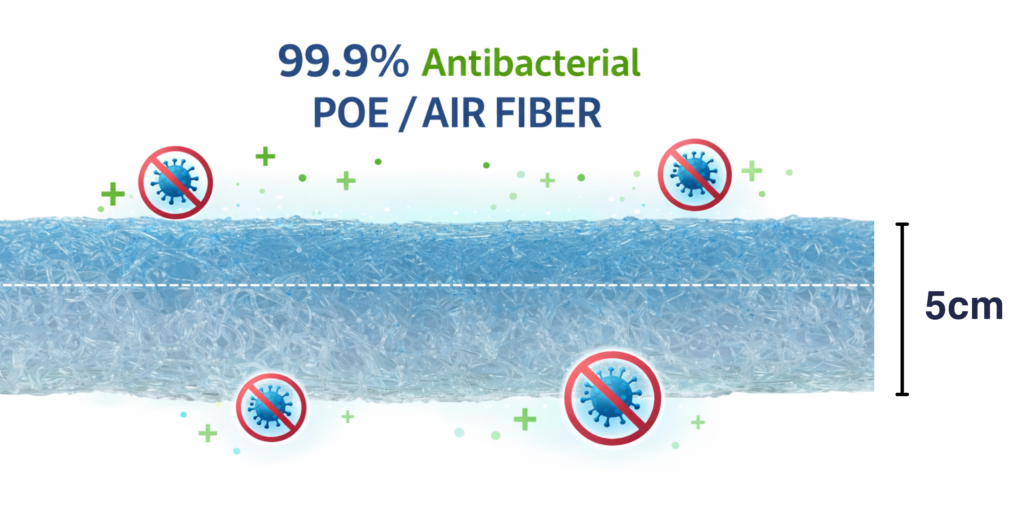 BANNER WEB
