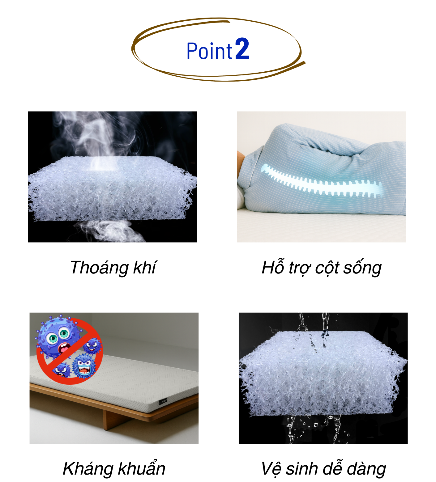 trang 8 e1771991710393