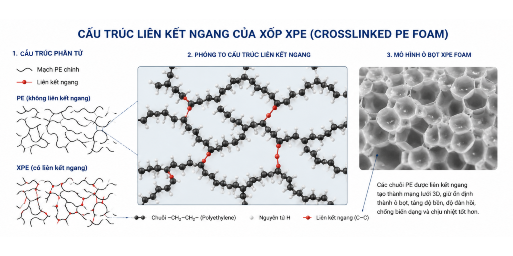 XPE FOAM