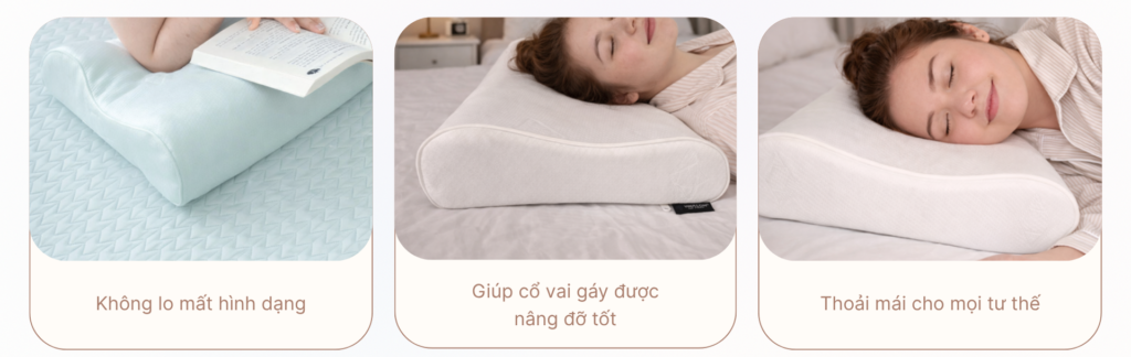 cho moi tu the nam e1782354661561